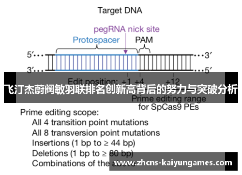 飞汀杰蔚阀敏羽联排名创新高背后的努力与突破分析